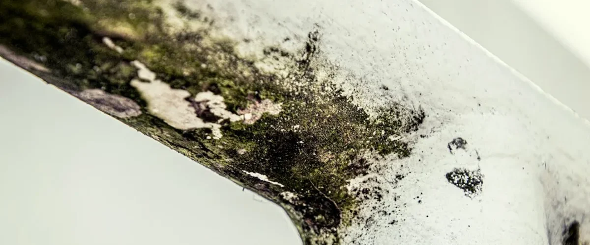 pourquoi maison sent elle humidite apres etre restee fermee